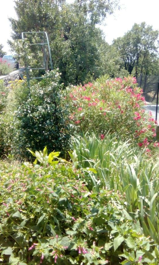 Apartman Gabi Kastav Luaran gambar